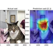 À gauche la photo d'un chat dans une couverture chez le vétérinaire. À droite la même photo vue à travers l'application. La photo a des teintes bleues sauf le haut de la tête du chat qui est orangée et rouge.