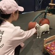 Une femme laisse un chat lui toucher le doigt, dans un café de chats.