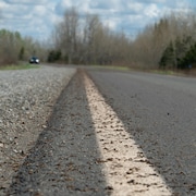Des chenilles sont visibles sur une route sur laquelle circule une voiture.