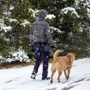 Une personne qui marche avec son chien sous la neige.