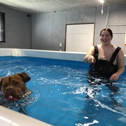 Une jeune fille est dans une piscine avec une salopette de pêche avec un chien qui nage avec une balle.