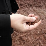 Une personne tient dans sa main de l'argile au gisement dans le secteur de Matane.