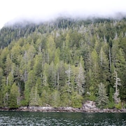 La région de Clayoquot Sound, sur l'eau avec vue sur les forêts, le 1er avril 2024.