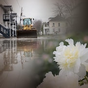 Montage photos d'un tracteur circulant dans une rue inondée et des oeillets blancs.