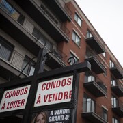 Pancarte indiquant des condos à vendre et à louer devant un immeuble d'habitation. 