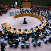 Le Conseil de sécurité des Nations unies.