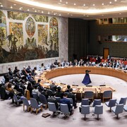 Une réunion du Conseil de sécurité des Nations Unies.