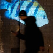 Projection par le World Wildlife Fund (WWF)d'un poisson sur un mur du palais de justice Montréal.