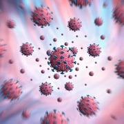 Représentation du coronavirus SRAS-CoV-2.