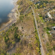 Entre le fleuve Saint-Laurent et un rail de chemin de fer, un terrain est parsemé d'arbres, certains toujours debout, d'autres abattus, les troncs jonchant le sol. 