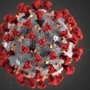 image d'un virus au microscope.