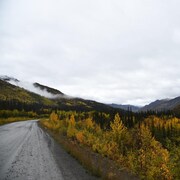 Une route passe entre des arbres sous un ciel nuageux.