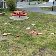 Des déchets sur le sol d'un parc.