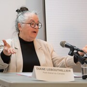 La candidate du Parti libéral du Canada, Diane Lebouthillier, parle les mains écartées derrière un micro.