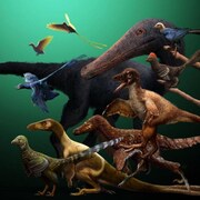 Illustration artistique montrant différents types de dinosaures.