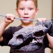 Un enfant avec un squelette de dinosaure dans les mains.