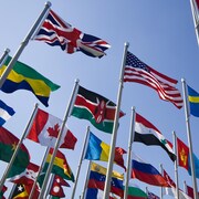 Les drapeaux de quelques dizaines de pays.