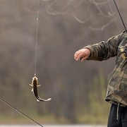 Un pêcheur attrape un poisson doré avec sa canne à pêche.