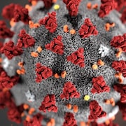 Une représentation du coronavirus.