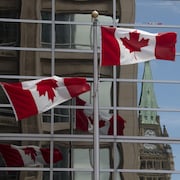 Des drapeaux canadiens flottent au vent en face de la réflexion de la tour de la Paix du parlement à Ottawa.