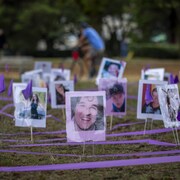 Des photos sont plantées au sol, entourées de fils de couleur. 