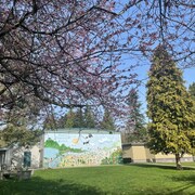 Une petite école décorée d'une murale est encadrée de conifères et de cerisiers en fleurs.
