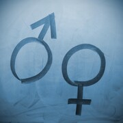 Le symbole pour les hommes (Mars) et les femmes (Venus) sont dessinés avec de la craie sur un tableau noir.