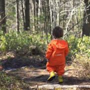 Un enfant marche dans un sentier en forêt.