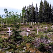 Des croix réparties sur un terrain.