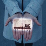 L’équipe artistique de Danse K par K redouble d’originalité cet hiver avec une série de courts métrages de danse projetés sur les mains des visiteurs grâce à un faisceau lumineux au sol. 