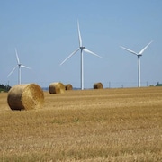 Des ballots de foin et des éoliennes dans un champ, en campagne.