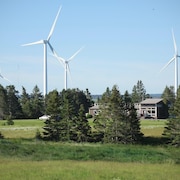 Quelques éoliennes productrices d'électricité en Nouvelle-Écosse.