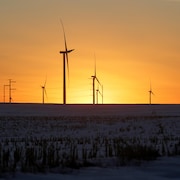 Des éoliennes dans un champ de maïs à Latimer, en Iowa, durant un coucher de soleil.