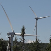 Parc éolien en Gaspésie.