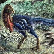 Illustration artistique d'un Eoneophron infernalis.