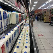 Des bouteilles de laits sont alignés dans un frigidaire d'une épicerie de Souris.