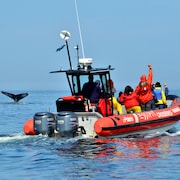 Un bateau pneumatique des Entreprises Essipit à côté d'une baleine qui plonge.