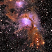 La nébuleuse Messier 78, une pépinière d'étoiles en formation enveloppée d'un linceul de poussière interstellaire. 