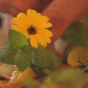 Gros plan de la main d'un cuisinier qui dépose une fleur dans une assiette. 