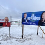 Des panneaux électoraux sur le bord de la route. À droite, Gail MacDonald pour les libéraux, au centre, le parti vert avec ses deux candidates et à droite, Jill Burridge pour les progressistes-conservateurs.