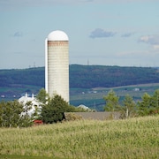 Un silo à grains dans un champ.