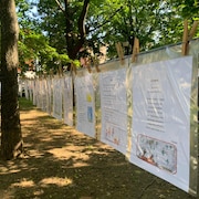 Une personne lit les poèmes accrochés dans le parc Champlain à Trois-Rivières.