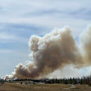 Une épaisse colonne de fumée s'échappe d'un regroupement d'arbres, au loin.