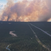 Un mur de fumée s'élève d'une forêt en feu au bout d'une route.