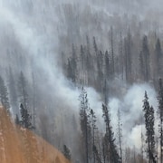 Vue aérienne d'un panache de fumée qui monte d'une forêt.