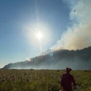 Un homme marche dans un champ en direction d'un feu de forêt.