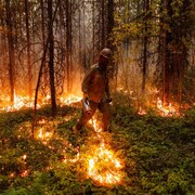 Un pompier dans une forêt incendiée.