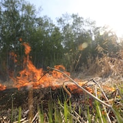 Le feu de forêt en bordure de Prince Albert, en Saskatchewan, le 18 mai 2021.