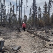 Langis Chachai marche au milieu des arbres brûlés.