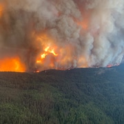 Un feu de forêt brûle une forêt.